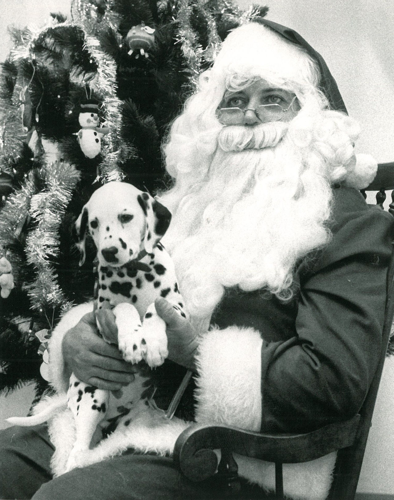 Holiday hound